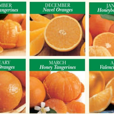 monthly citrus gift plan